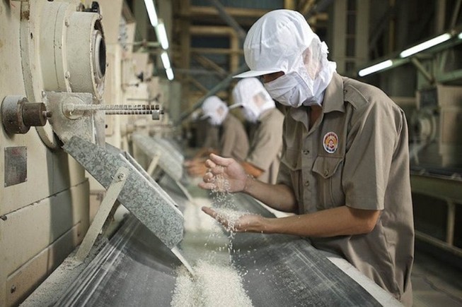 Các ngành báo cáo gì tại cuộc họp về xuất khẩu gạo