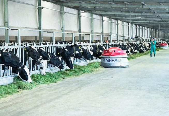 Trái ngọt từ chiến lược đầu tư bài bản của Vinamilk