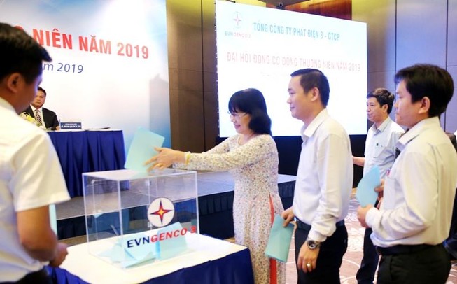 EVNGENCO 3: Đại hội đồng cổ đông thường niên 2019
