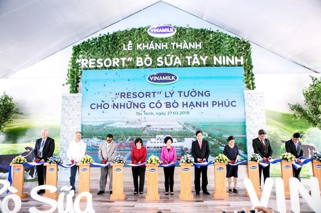 Vinamilk: Nhãn hàng được chọn mua nhiều nhất