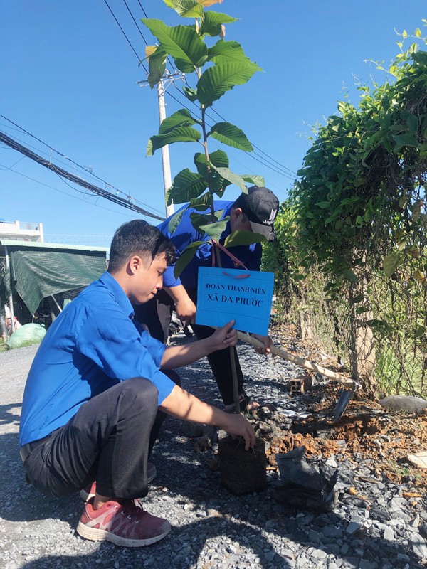 VWS tổ chức trồng 600 cây dầu và sưa ở xã Đa Phước