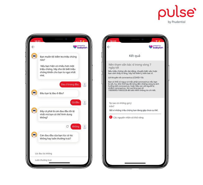 Ứng dụng Pulse: AI tiết lộ những thú vị về cơ thể con người