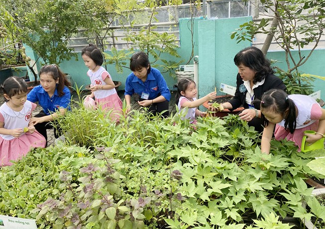 TP.HCM nhân rộng chương trình "Trường học xanh"