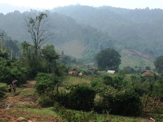 Lâm tặc đánh kiểm lâm nhập viện