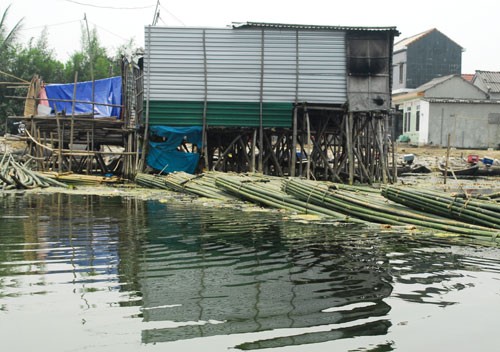 Ngã xuống phá Tam Giang, cháu bé 6 tuổi tử vong