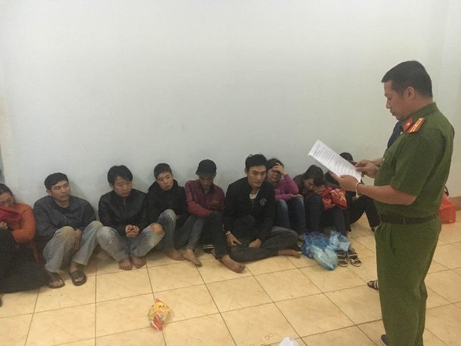 Ổ bạc trong rẫy cà phê