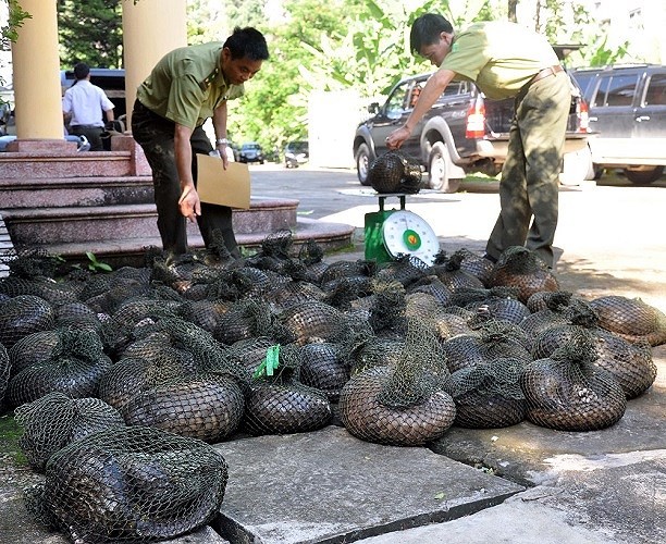 TP.HCM: Cấm cán bộ tặng, nhận quà là động vật hoang dã