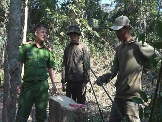 Khai thác hàng chục mét khối gỗ, bốn người bị bắt