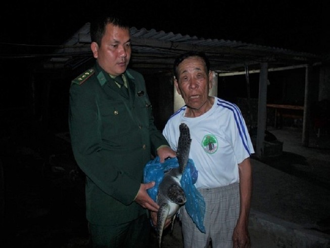 Rùa biển 10 kg mắc lưới được thả về đại dương trong đêm