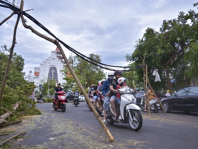 Thành phố Huế ngổn ngang cây đổ sau khi bão quét qua
