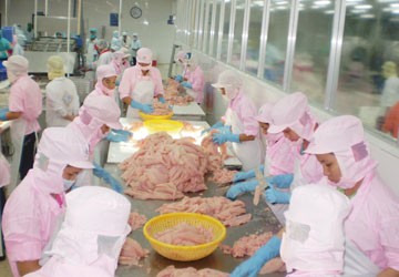 South Vina - hành trình trên đất phù sa