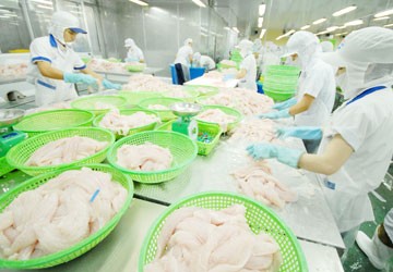 Mỹ tiếp tục áp thuế chống bán phá giá cá