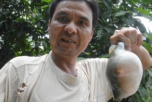 Bắt được cá “khủng” cắn người