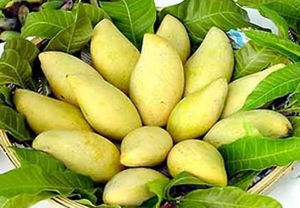 Lần đầu công bố 14 tốp đặc sản nổi tiếng Việt Nam