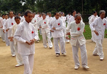 Thảo dược phòng ngừa máu nhiễm mỡ