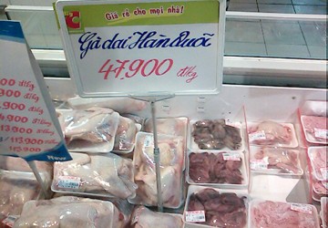 Nhập gà thải: Thêm “dao” giết chăn nuôi trong nước