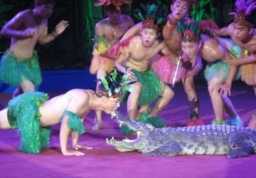 Thú xiếc và nghề dạy thú