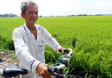 Trần ai “con kiến” kiện “củ khoai” - Bài 4: 18 năm đạp xe đòi đất