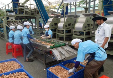 Xuất khẩu 2013: Nỗ lực giảm khó