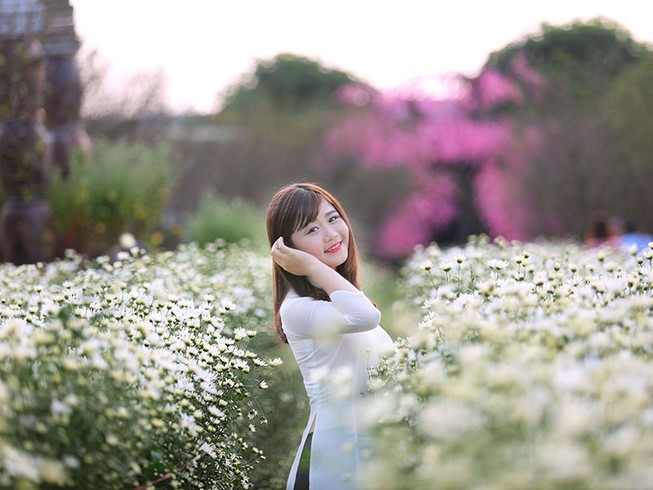 Thiếu nữ Hà thành 'đọ sắc' cùng hoa cúc họa mi
