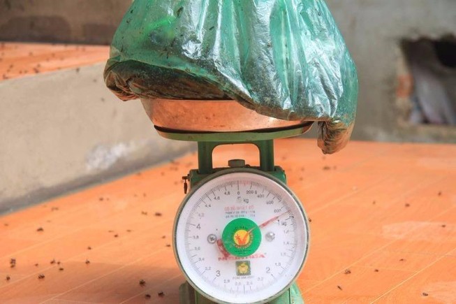 Ruồi đong bằng kg, dân chặn xe vào bãi rác Nam Sơn