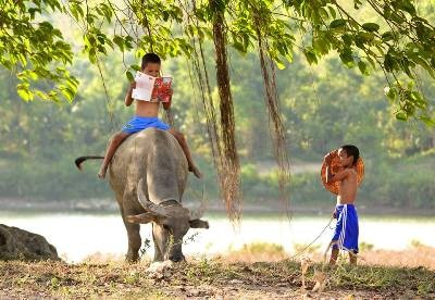 Trở về tuổi thơ với bộ ảnh 'Trẻ mục đồng xứ Nghệ'