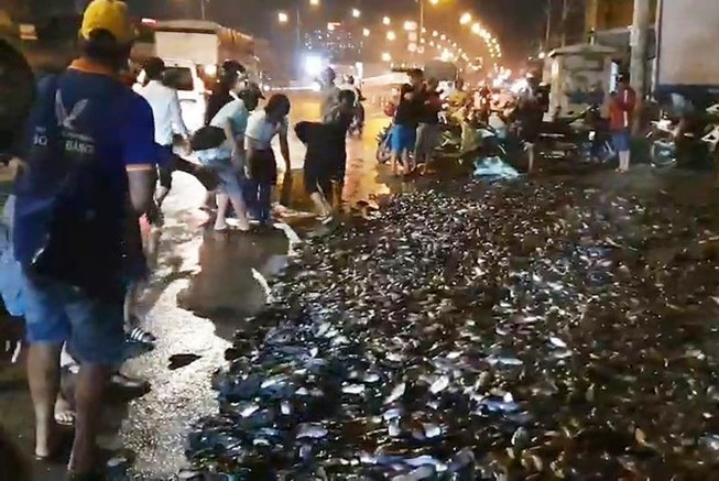 Xe tải lật ngang, gần 3 tấn cá rô bò lổn nhổn trên quốc lộ