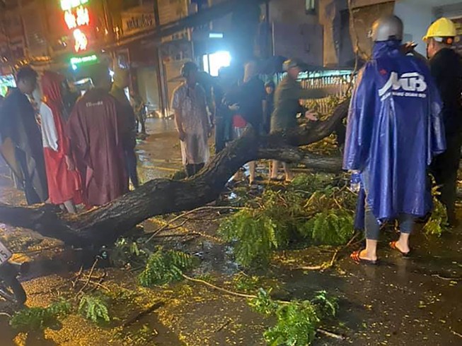 TP.HCM: Cây tét nhánh trong mưa lớn, đè chết người ở quận 10