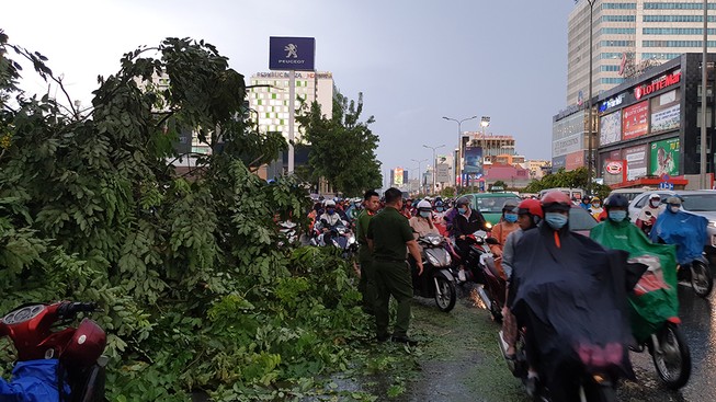 Hàng loạt cây xanh gãy đổ trong mưa lớn, giao thông ùn ứ