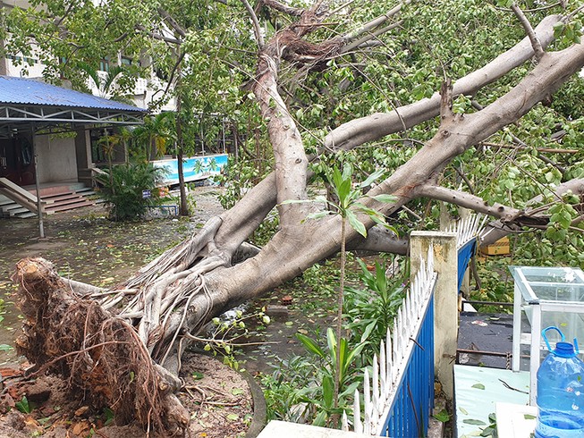 Bình Định: Người dân dọn dẹp nhà cửa, đường phố sau bão