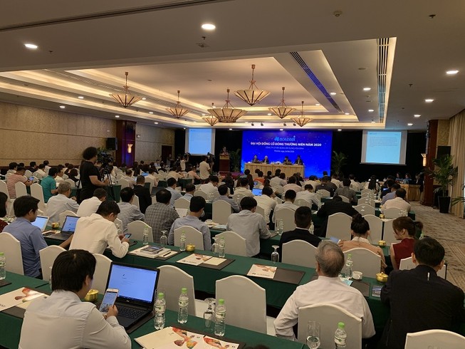 Thực hư Hòa Bình bị đối tác ngoại thâu tóm