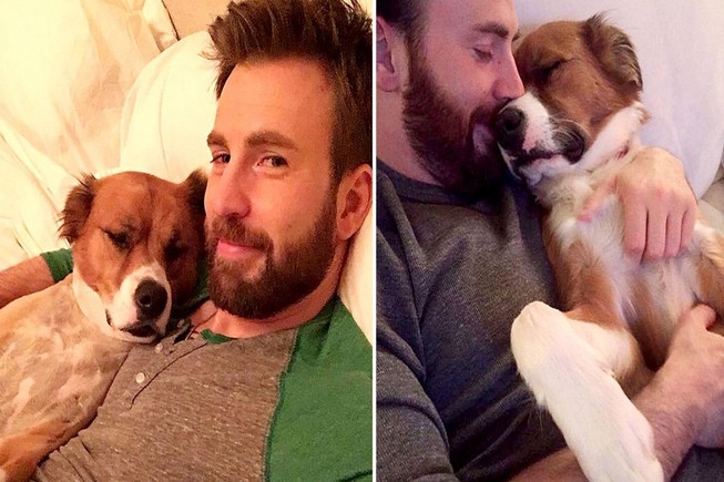 Chris Evans khiến fan hâm mộ sốc khi cạo lông chó thất bại