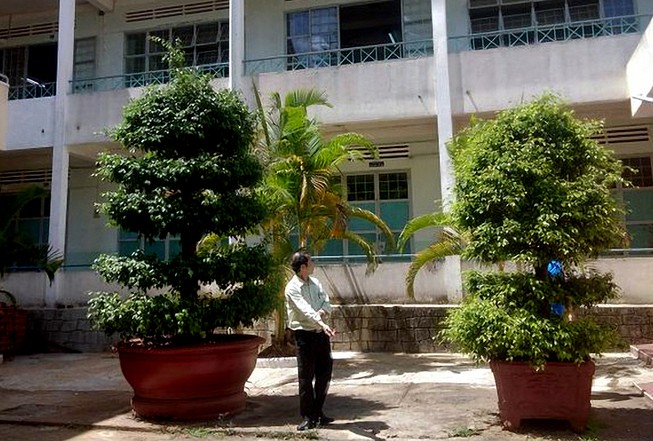 Hiện trường nơi xảy ra vụ nữ sinh cấp 2 rơi xuống sân trường. Ảnh: LQL