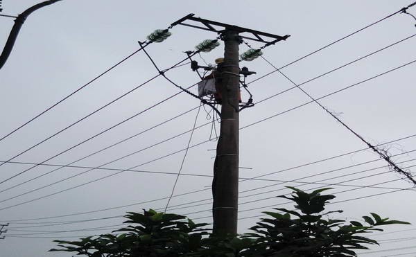 Hai người bị điện giật chết lâm sàng được cứu sống