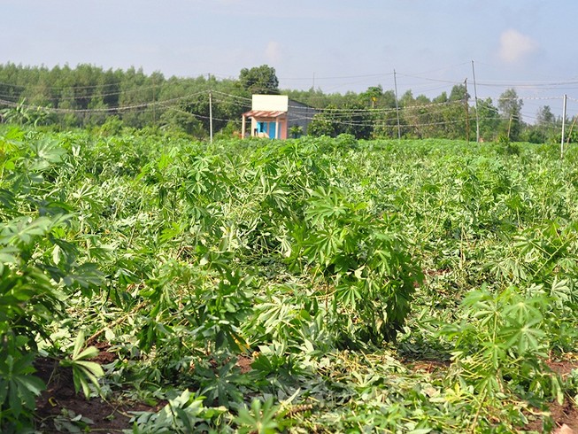 Nghi can bắn nữ sinh lớp 11 vì mâu thuẫn tình cảm