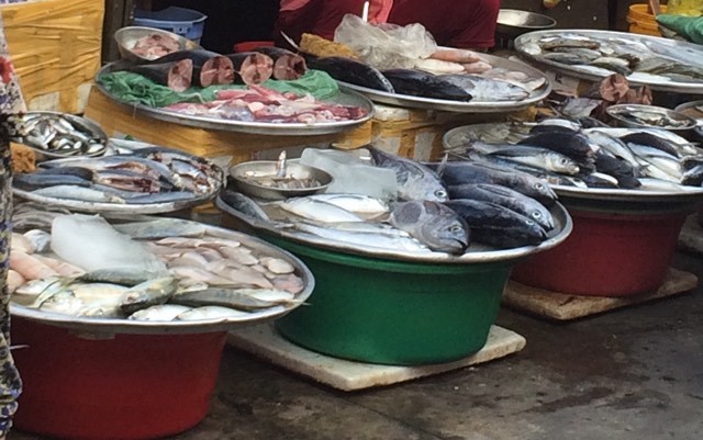 Lý do gì một số loại cá biển gây dị ứng?