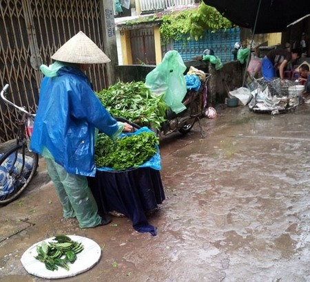 Những lưu ý về thực phẩm trong mùa bão
