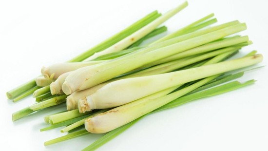 Nhiều tác dụng đáng ngạc nhiên của cây sả
