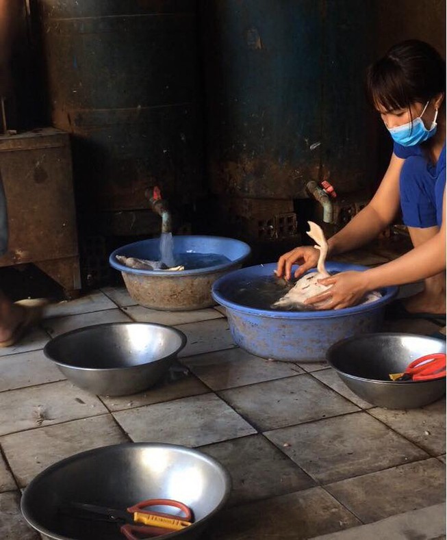 TP.HCM yêu cầu xử lý dứt điểm nơi giết mổ gia cầm trái phép