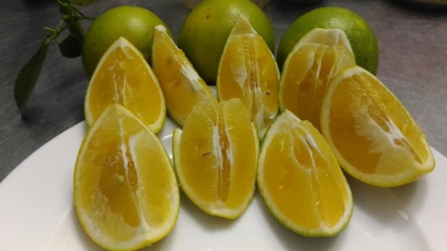 Cách giảm mỡ bụng sau 4 tuần bằng thực phẩm