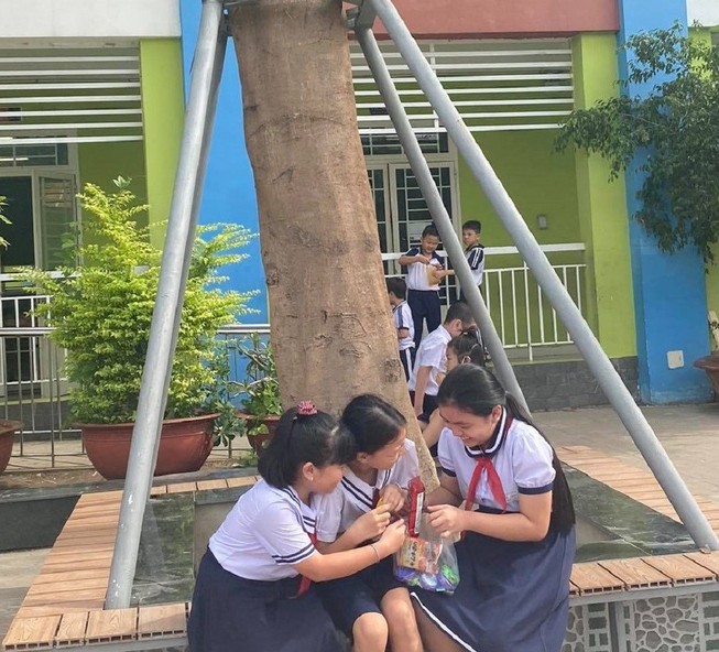 Chống cây đổ bằng khung sắt có phải là giải pháp tốt?