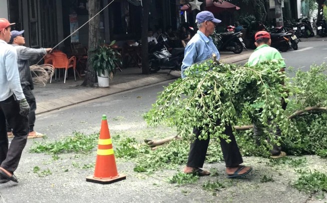 Sẽ đốn hạ hàng loạt cây xanh để làm nhiều dự án ở Củ Chi
