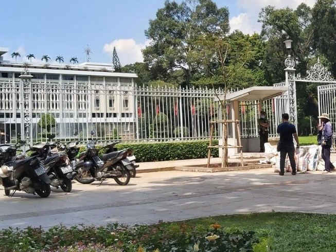 Loại cây được trồng thay thế ở Dinh Độc Lập là cây gì?