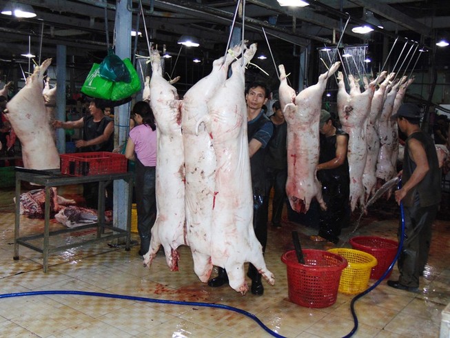 Chờ 'bấm nút' xóa giết mổ heo thủ công