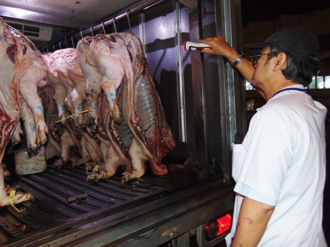 Báo động thịt heo dính thuốc an thần vào TP.HCM