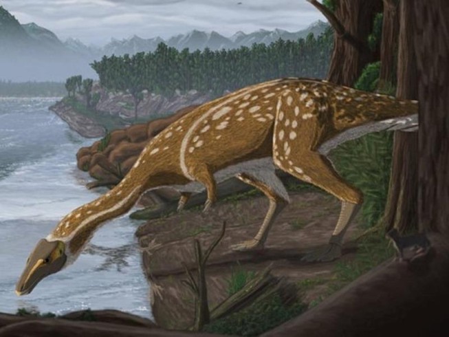 Hình ảnh mô phỏng khủng long Elaphrosaur.