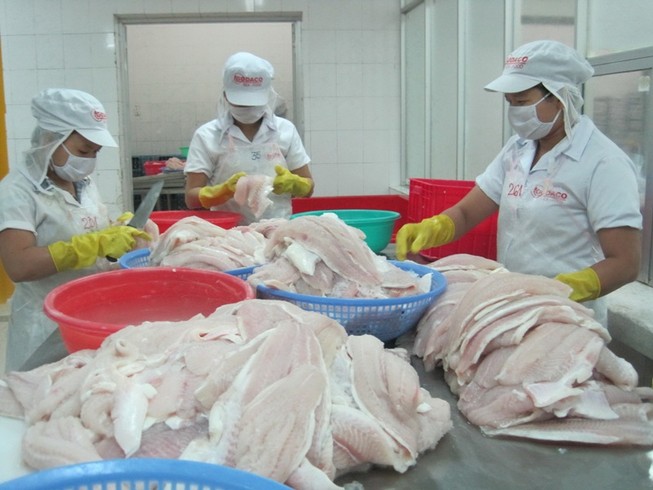 Một số lô thủy sản bán sang EU bị cảnh báo, trả về