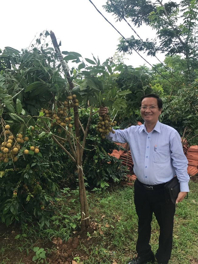 Nhãn 'khủng' Tây Bắc bất ngờ xuất khẩu sang Mỹ