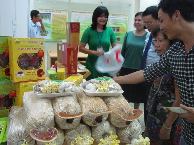 Nhà thông minh, nấm sạch Việt kiếm tiền tỉ nhờ vườm ươm