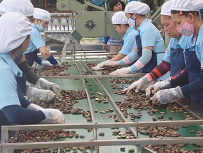 Trung Quốc 'bỏ' gạo chuyển qua 'ăn' hạt điều